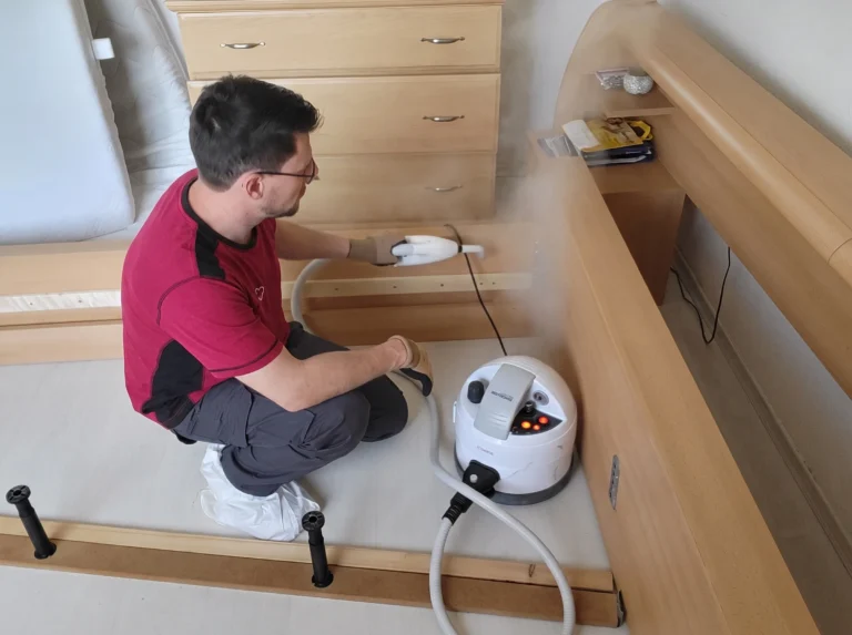 Bettwanzenbekämfung Schlafzimmer 01