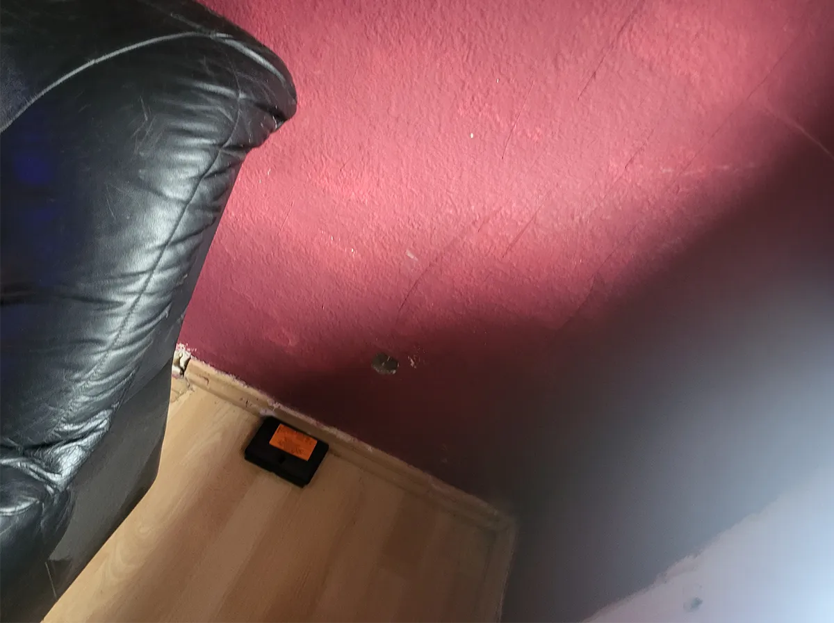 Mäuse-Eintrittsloch in der Wohnzimmerwand