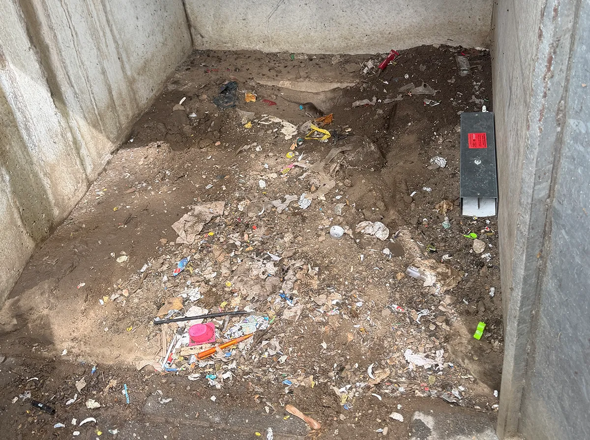 Massiver Rattenbefall am Müllunterstand