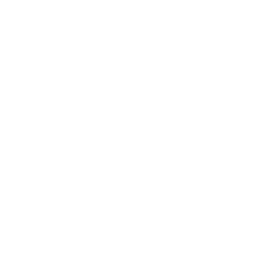 Hitzebehandlung icon