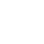 ratte icon