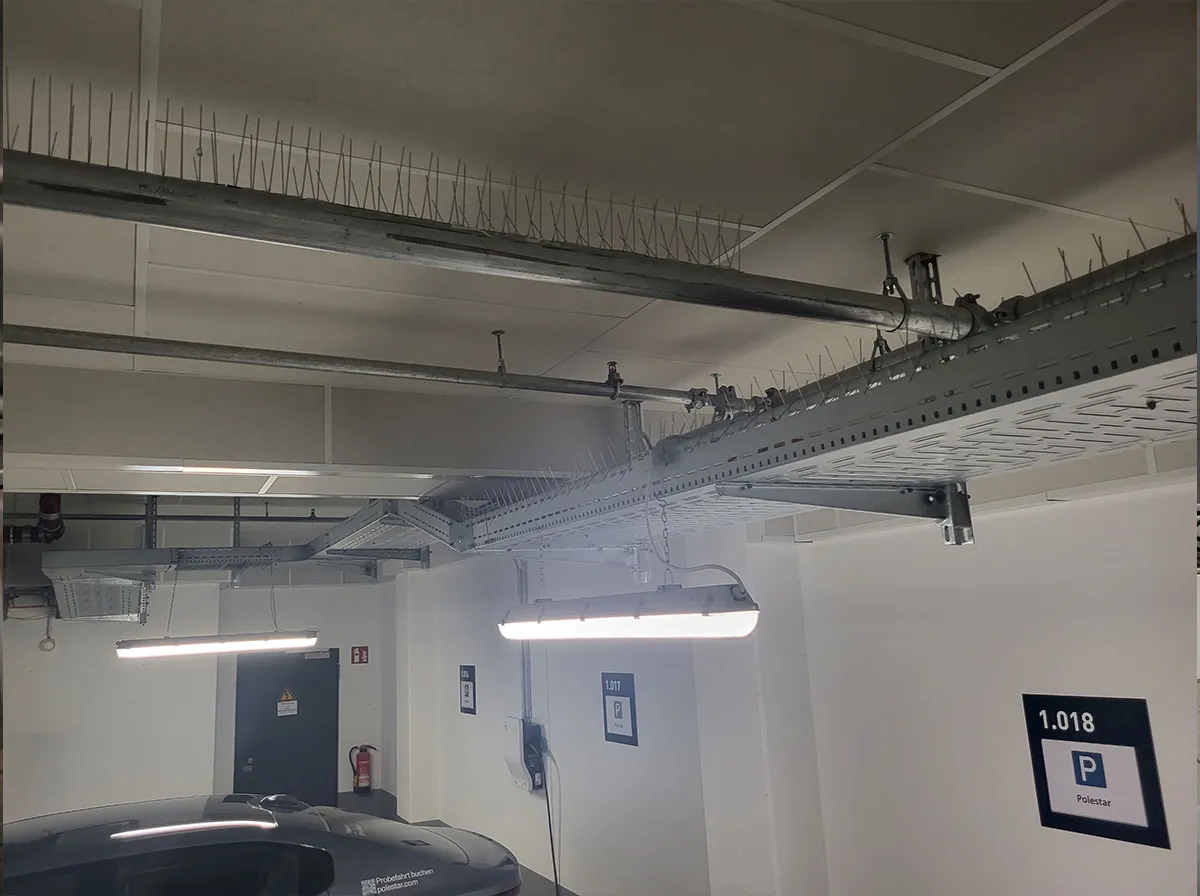 taubenabwehr-edelstahlspikes-kabeltrassen-tiefgarage