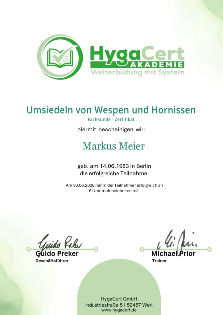 Umsiedeln_von_Wespen_und_Hornissen_2026-06-30-ZErtifikat-